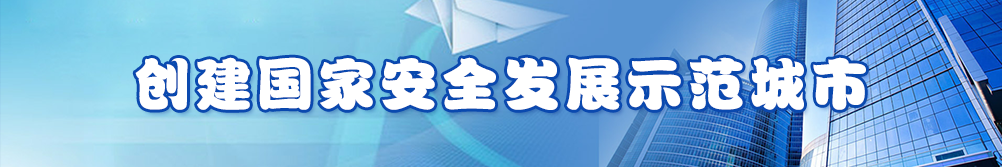 創建國家安全發展示範城市